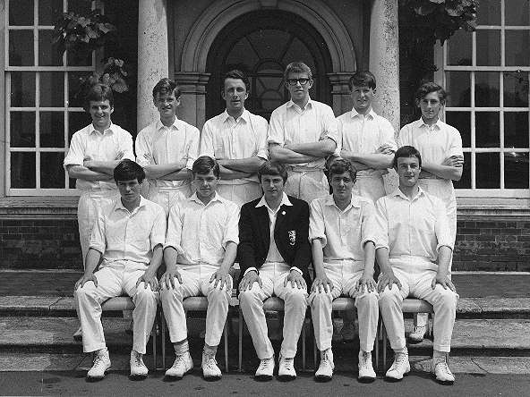 cricket3.jpg (188642 bytes)