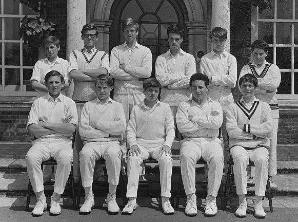 cricket4.jpg (185680 bytes)