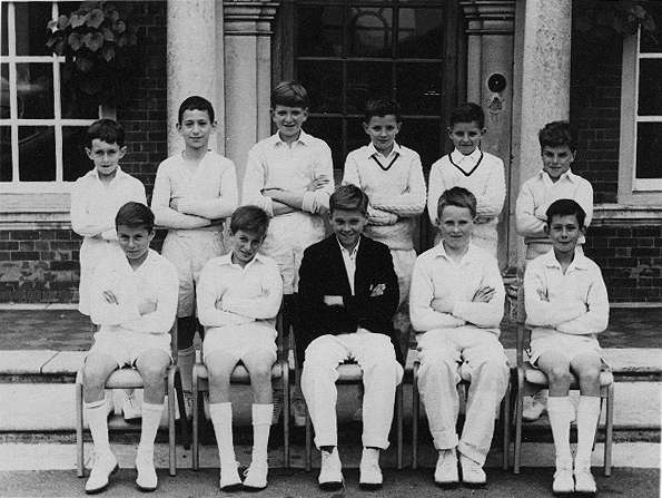 cricket5.jpg (170525 bytes)